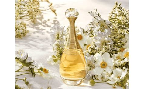 los mejores perfumes de dior|Dior perfume online shop.